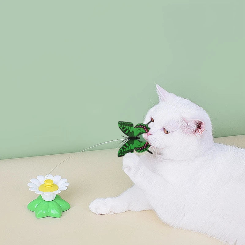 Electric Interactive Cat Toys