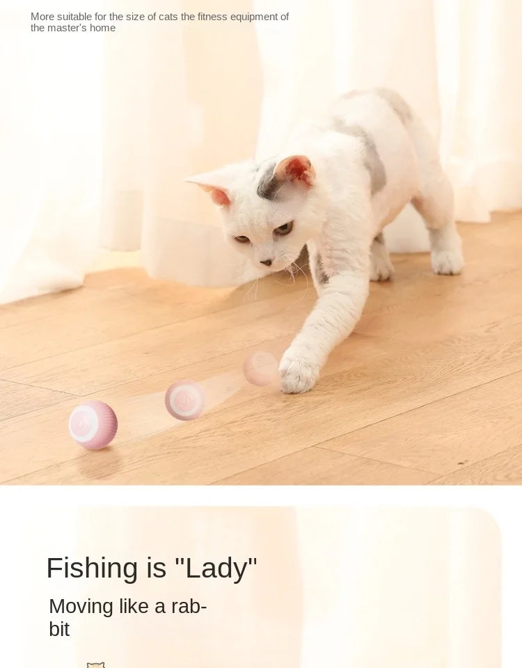 Automatic Rolling Magic Ball