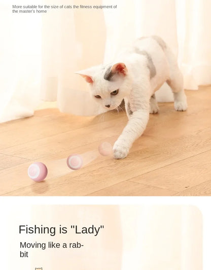 Automatic Rolling Magic Ball