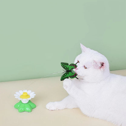 Electric Interactive Cat Toys